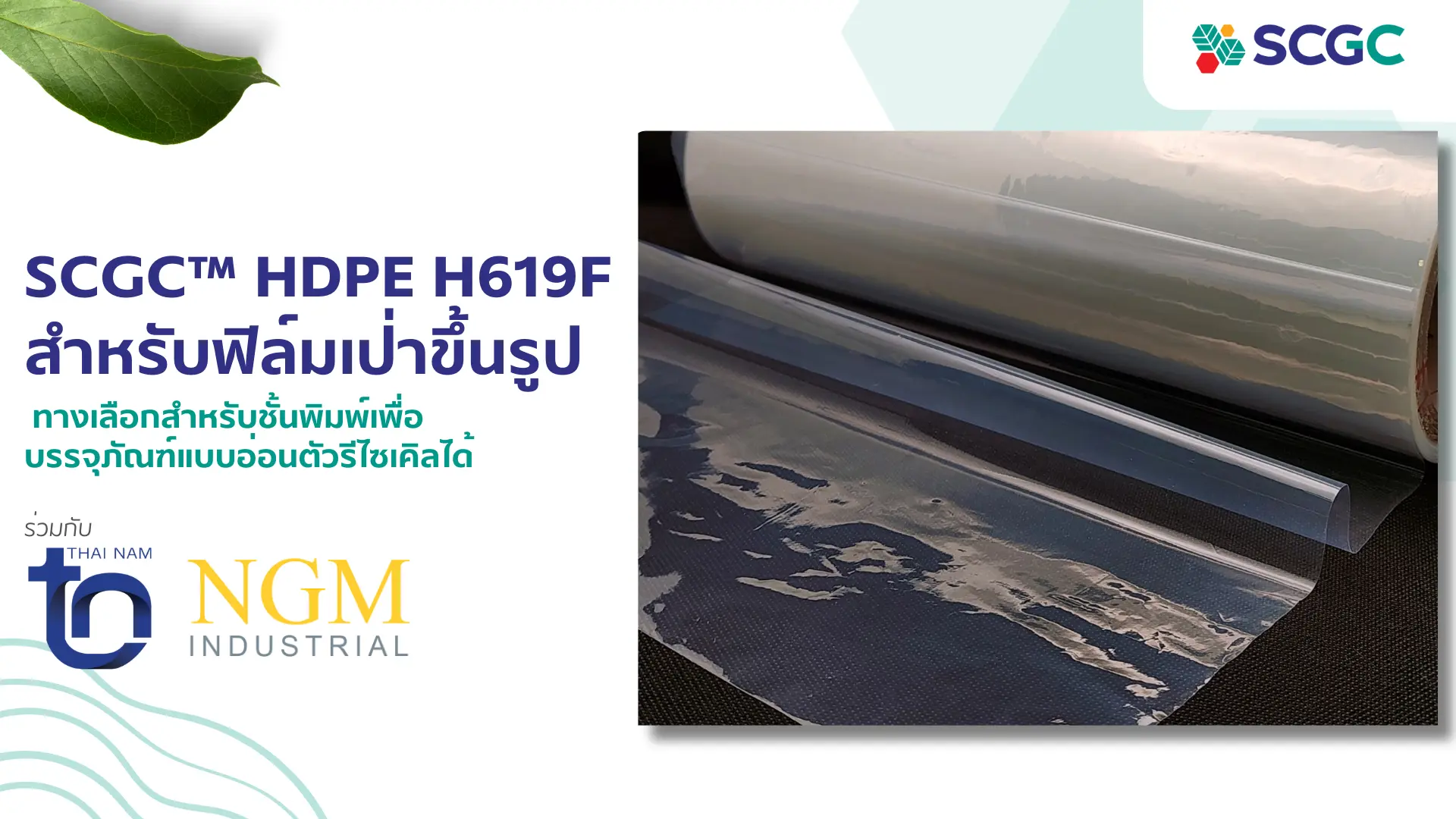 รูปปก Th 1